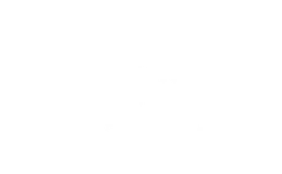 Equine Veterinarians Australia